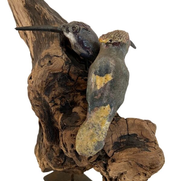 Due colibrì radica di ulivo arte del riciclo