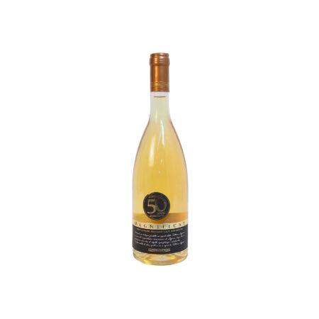 Magnificant vino bianco made in loppiano